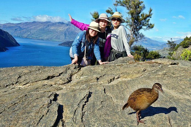 Mou Waho Island Cruise and Guided Nature Walk - Who is this tour best for?