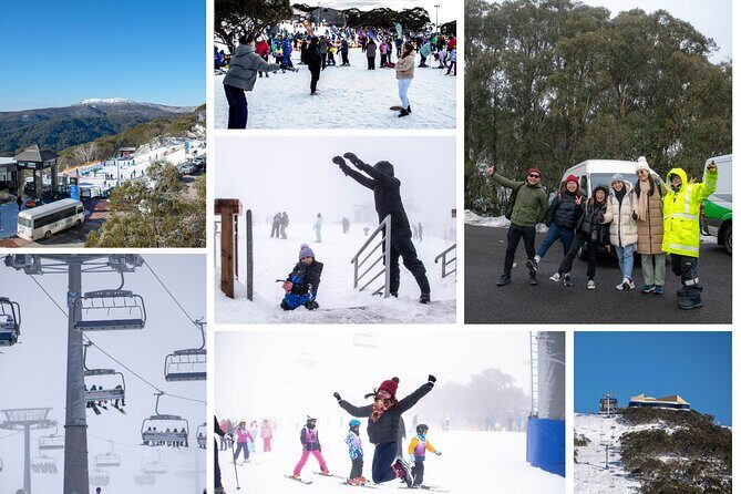 Mount Buller 1 Day Guided Tour - Transport, Price, and Value