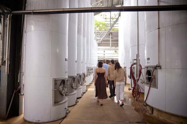 Mount Cotton: Winery Tour & Tasting with 3-Course Lunch - What to Expect from the Tour