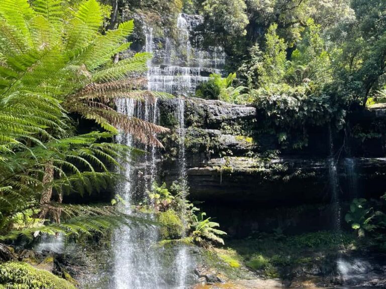 Mount Field National Park Russell Falls (6hr Private Tour) - The Itinerary in Detail