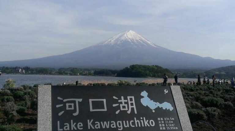 Mount Fuji Customized Tour with English Speaking Guide - Comfortable Transit and Small Group Dynamics