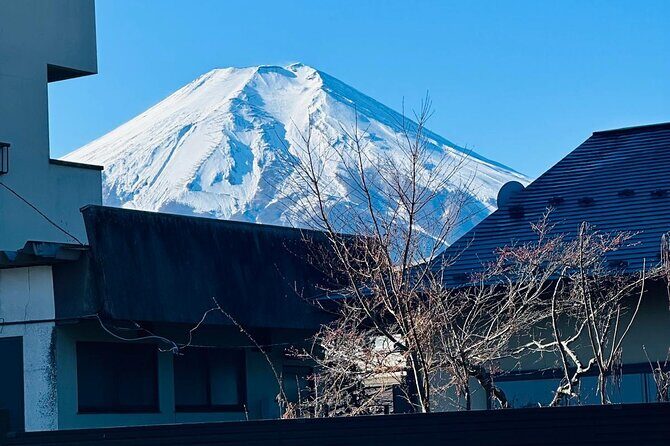 Mount Fuji Day tour licensed plates vehicles with english driver - Final Thoughts