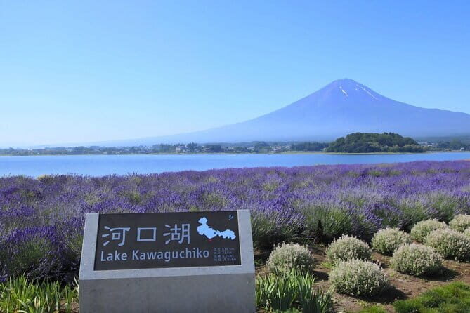 Mount Fuji Full Day Tour form Tokyo Lake Kawaguchi & Yamanaka - Who Is This Tour Best For?