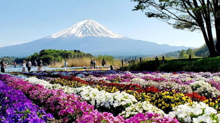 Mount Fuji & Hakone Full-Day Private Tour (Customizable) - An In-Depth Look at the Itinerary and Experiences