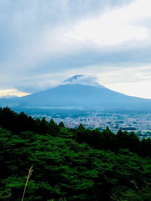 Mount Fuji Hakone with English-speaking Guide - The Convenience of a Private Day Trip