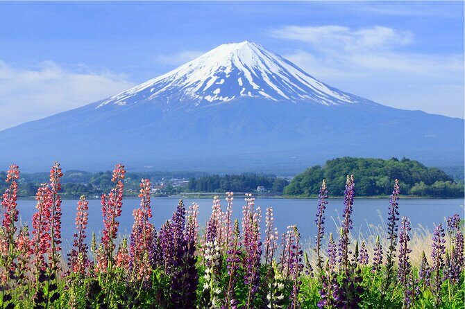 Mount Fuji Panoramic Day Trip from Tokyo - The Practical Side: What to Expect