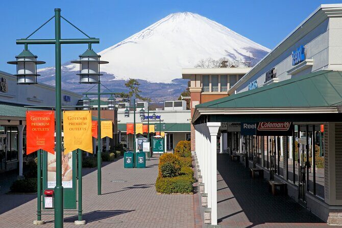 Mount Fuji Panoramic View and Shopping Day Tour - Analyzing the Value: Is It Worth It?
