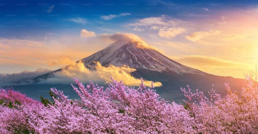 Mount Fuji Private Tour With English Speaking Driver - Authentic Experiences and Traveler Insights