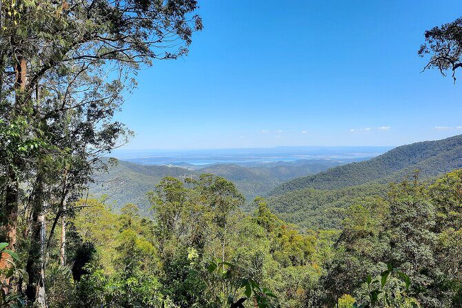 Mount Glorious to Mount Mee Tour - Authentic Traveler Insights
