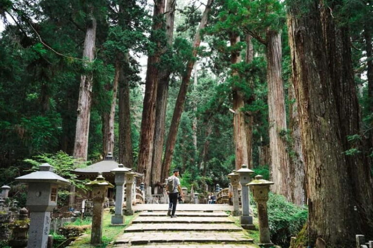 Mount Koya from Osaka: Cultural Small Group Day Tour - The Practical Side: Transportation, Price, and Group Size