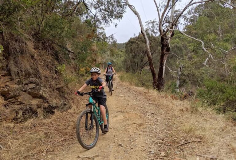 Mount Lofty Downhill Bike Tour & Cleland Wildlife Park Visit - Wildlife at Cleland Wildlife Park: Close Encounters