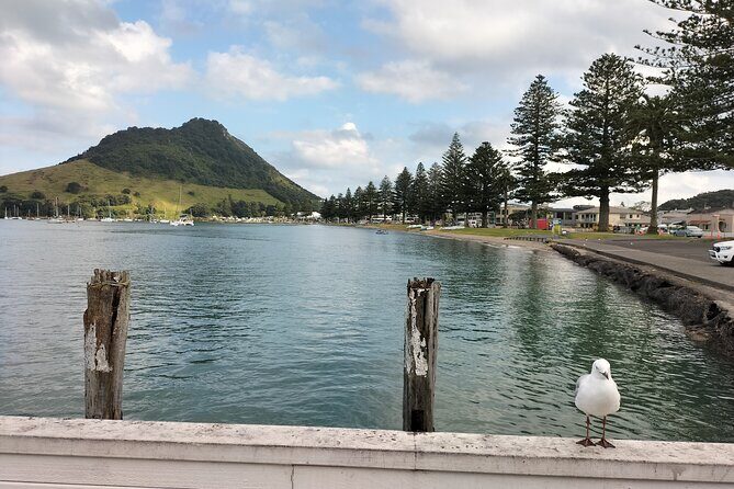 Mount Maunganui Hkoi Walking Tour - The Itinerary: A Step-by-Step Journey