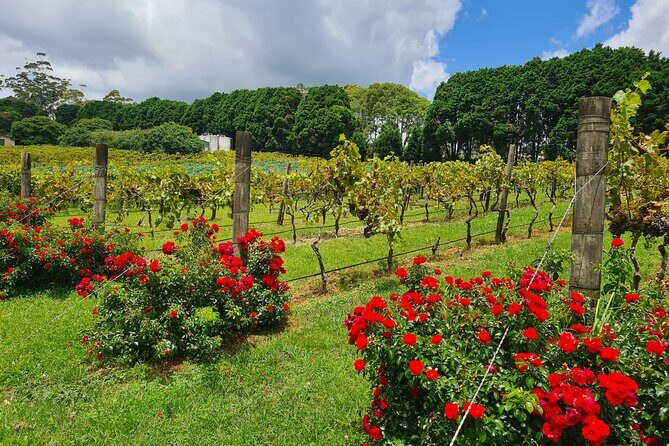 Mount Tamborine Wine Tasting Tour from Brisbane or the Gold Coast - Transportation & Group Size