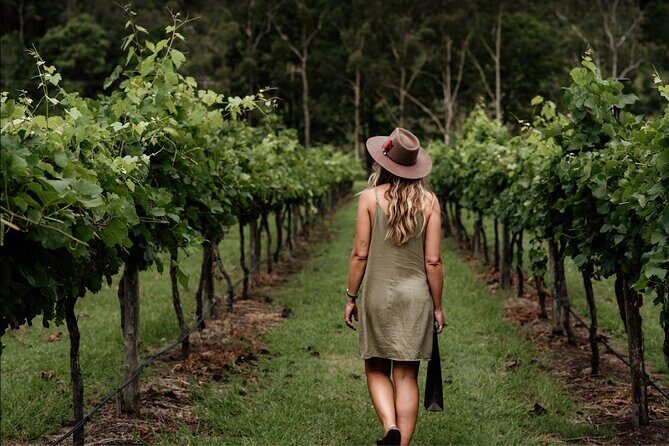 Mount Tamborine Winery Tour with Gourmet lunch - Authentic Feedback from Past Travelers