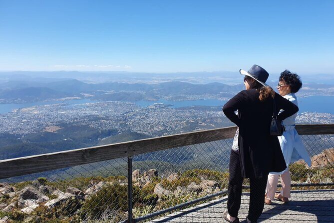 Mount Wellington Pinnacle 2 Hours Small Group Tour - Final Thoughts