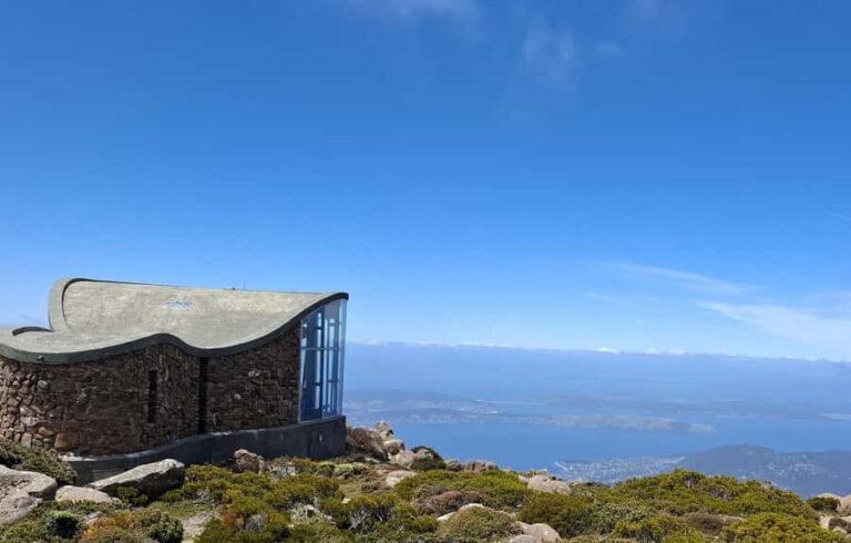 Mount Wellington Shore Excursion - The Practicalities: Transport, Timing, and Group Size