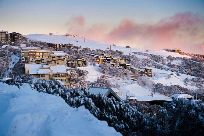 Mt Buller Snowy Escape Day Tour from Melbourne - The Itinerary Unpacked: What You’ll Experience