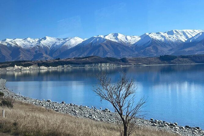 Mt. Cook Private Day Trip From Queenstown with Lake Tekapo - Visiting a Local Salmon Farm: A Tasty Interlude