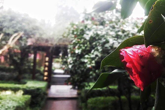 Mt Emei 1 day tour - The Experience: What You Can Expect