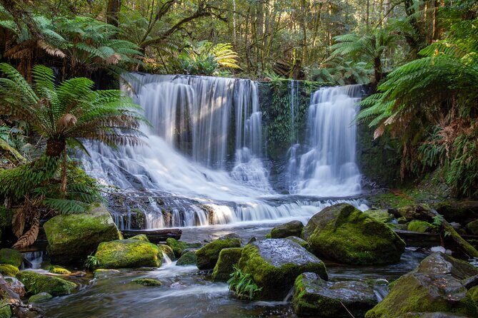Mt Field National Park and Russell Falls from Hobart - FAQs