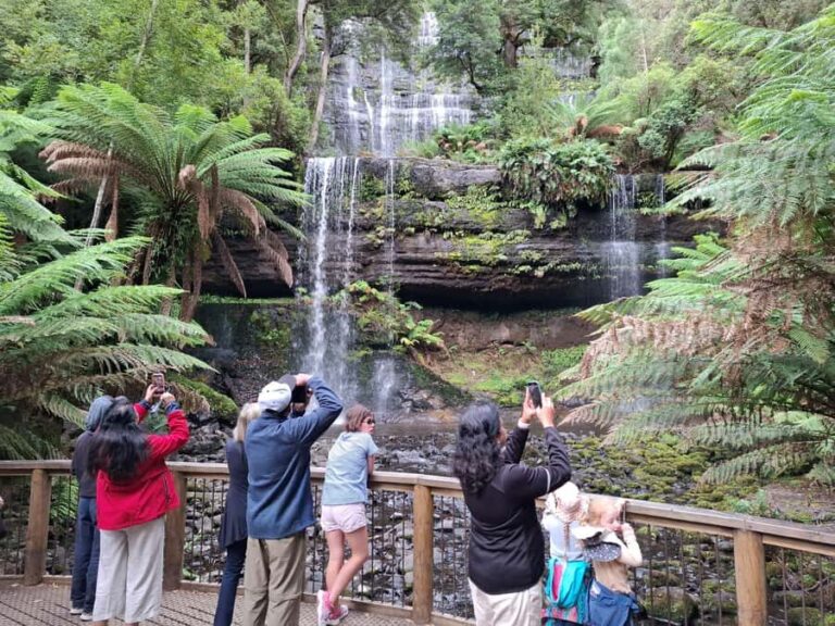 Mt Field Shore Excursion - Pricing and Value