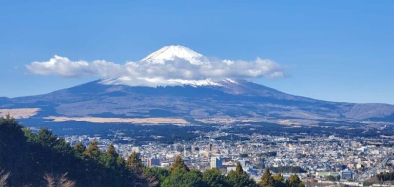 Mt Fuji and Hakone Private Tour With English Speaking Driver - The Long but Rewarding Day