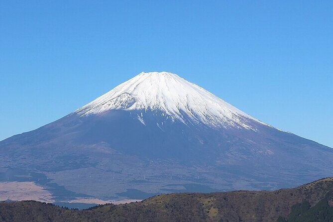 Mt Fuji and Izu Deep View 2 Day Tour from Tokyo - What Travelers Can Expect from the Experience