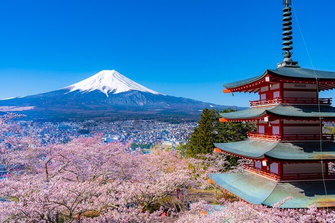 Mt. Fuji Cherry Blossom One Day Tour From Tokyo - Detailed Breakdown of the Itinerary