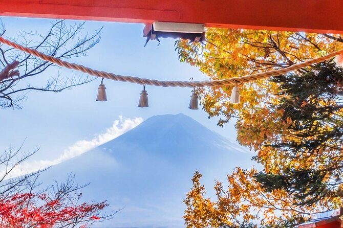 Mt. Fuji Oshino Hakkai and Gotemba Outlets Tour - Who Should Consider This Tour?