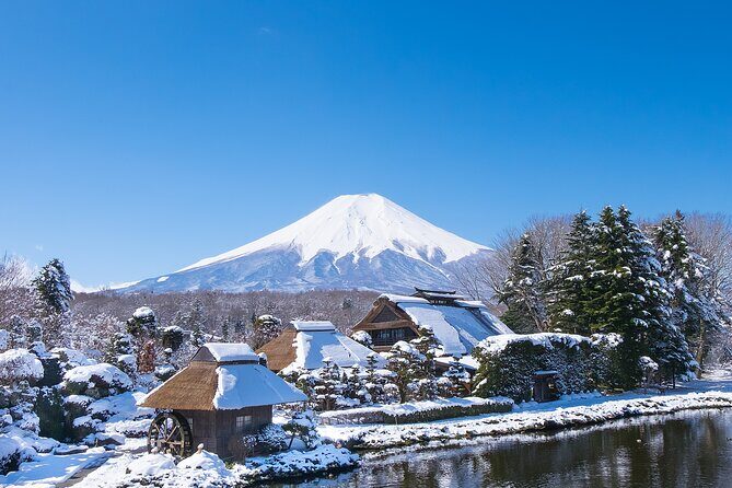 Mt. Fuji Signature 6 Scenic Spots One Day Tour from Tokyo - Who Should Consider This Tour?