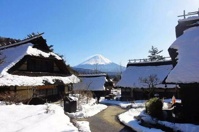 Mt.Fuji Tour: 3-Parks & The Healing Village in Fujiyoshida, Japan - Practical Details and What to Expect