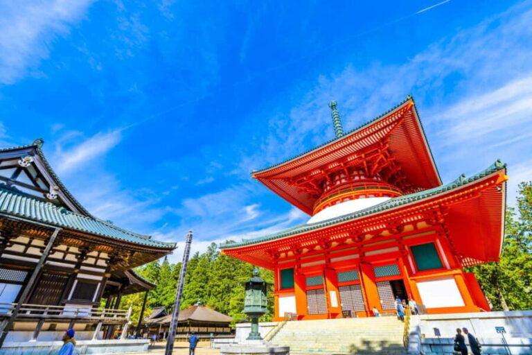 Mt. Koya Sacred Private Tour with Government Licensed Guide - The Highlights and Why They Matter