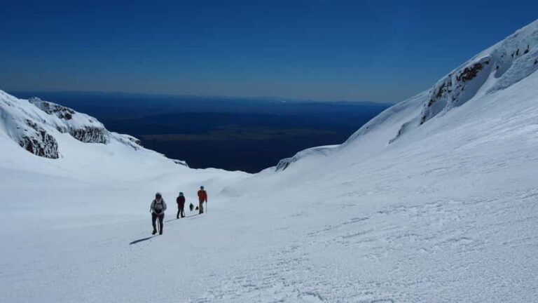 Mt Ruapehu Summit Plateau Guided Group Hike - Authentic Experiences and What Travelers Say