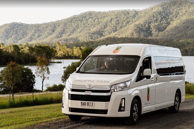 Mt Tamborine Shuttle Service - Gold Coast Return Transfer - Small Group and Comfort