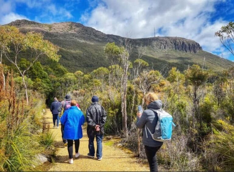 Mt Wellington Ultimate Afternoon Tour - Practical Details and What You Can Expect