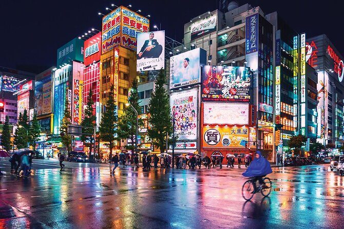 Multiple 4 day tour Tokyo Fuji Nikko Kamakura Private Tour - What’s Included and What’s Not?