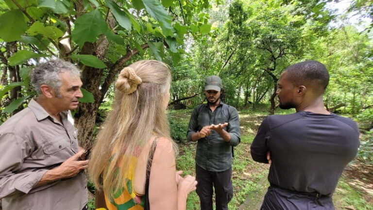 Mumbai: Maharashtra Nature Park Guided Nature Trail - The Journey Through the Trail