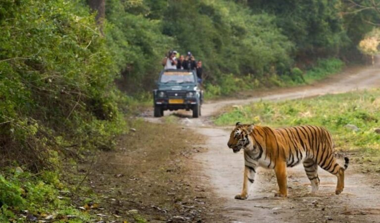 Mumbai to Jim Corbett: 2-Day Safari Adventure via Delhi - The Itinerary Breakdown