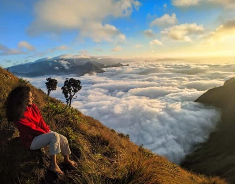 Munnar: Chokramudi Peak Full-Day Trekking Tour - Deep Dive into the Details