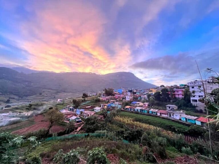 Munnar: Jeep Safari to Vattavada Village - What Makes This Tour Stand Out?