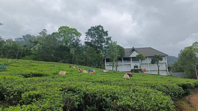 Munnar Nature Walk - Why You Might Love This Experience