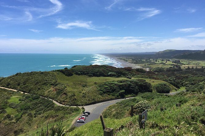Muriwai Scenic Wine Tour from Auckland - Key Points
