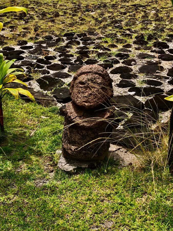 Must-Do : Nature, Culture & Moments Uniques MirimirI Tours - FAQ: Practical Questions About the Tour