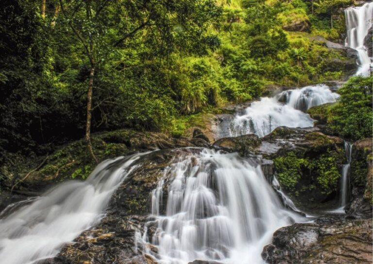 Mysore: Guided Day Trip to Coorg by Car with Scenic Stops - Practicalities and Value