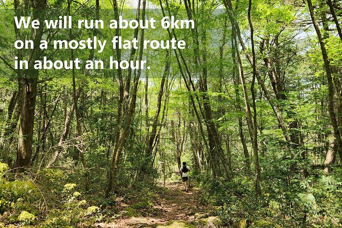 Mystical Fuji Forest Guide Running Trip (Shoe Rental Included) - Reaching the Viewpoint: Saiko Nenba-hama