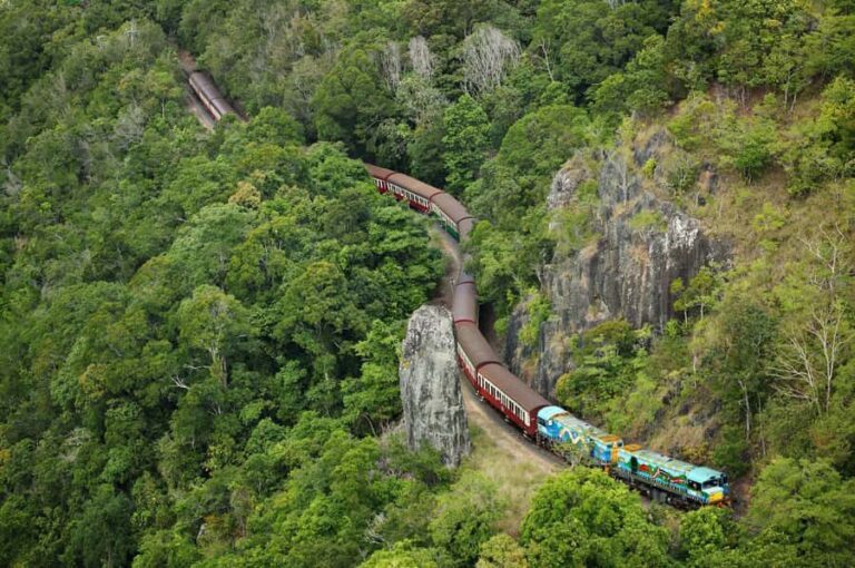 N. Queensland: Kuranda Rainforest Full-Day Tour - Transport and Logistics: Smooth and Scenic