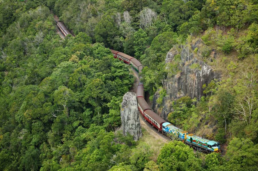 N. Queensland: Kuranda Rainforest Full-Day Tour - Transport and Logistics: Smooth and Scenic