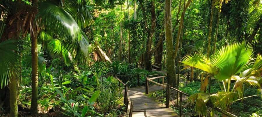 NADI: Exquisite Orchid Garden Tour with Hotspring & Mudpool - Practical Tips for Your Visit