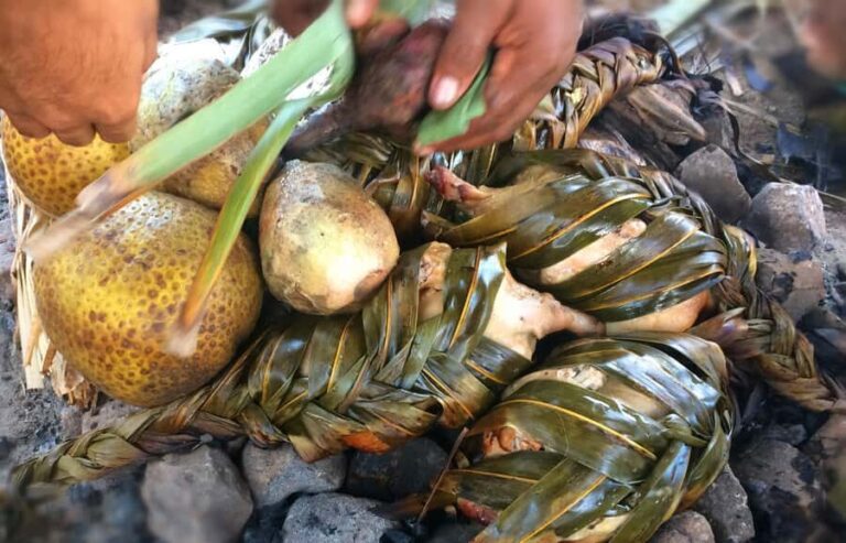 Nadi: Fijan Culture Night Tour with Dinner & Kava Ceremony - Real Guest Perspectives: What They Loved & Not