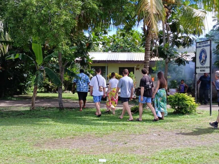 Nadi: Fijian Village Tour with Tifajek Mudpool and Hotspring - The Experience Provider and Practicalities